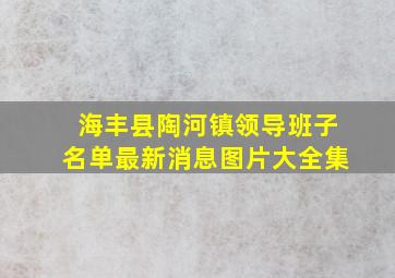 海丰县陶河镇领导班子名单最新消息图片大全集