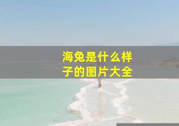 海兔是什么样子的图片大全