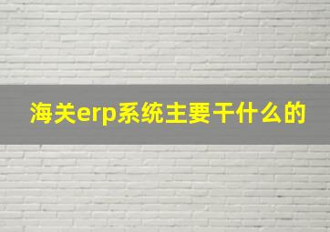 海关erp系统主要干什么的