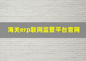 海关erp联网监管平台官网