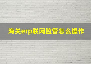 海关erp联网监管怎么操作