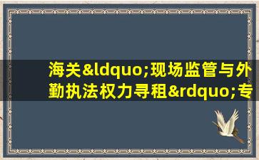 海关“现场监管与外勤执法权力寻租”专项整治工作