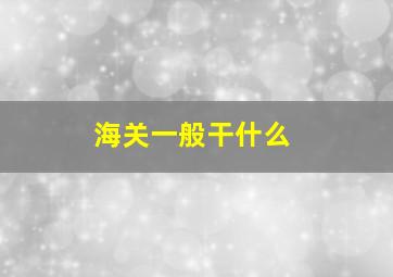 海关一般干什么