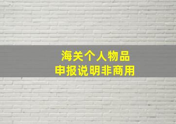 海关个人物品申报说明非商用