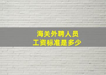 海关外聘人员工资标准是多少