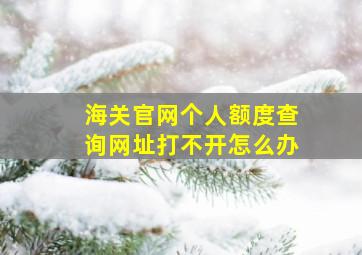 海关官网个人额度查询网址打不开怎么办