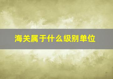 海关属于什么级别单位