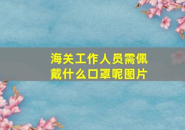 海关工作人员需佩戴什么口罩呢图片