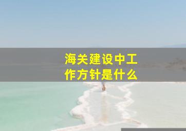 海关建设中工作方针是什么