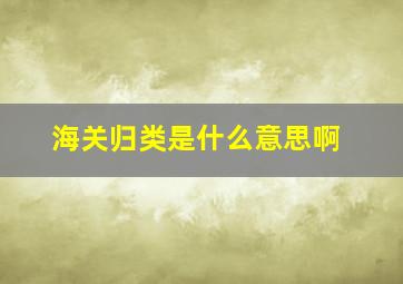 海关归类是什么意思啊