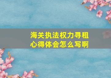 海关执法权力寻租心得体会怎么写啊