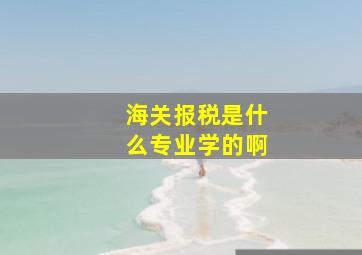 海关报税是什么专业学的啊