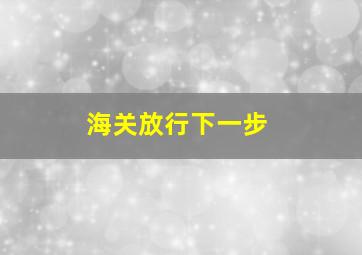 海关放行下一步