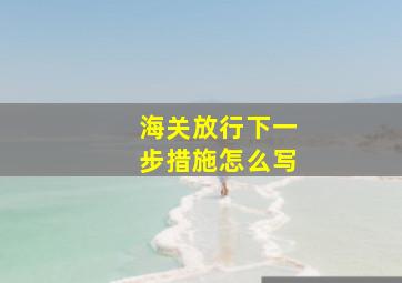 海关放行下一步措施怎么写