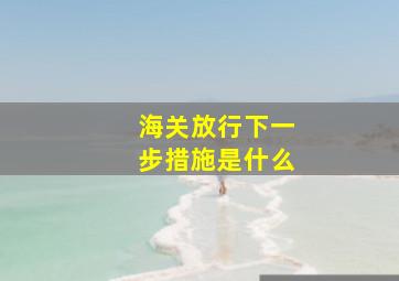 海关放行下一步措施是什么