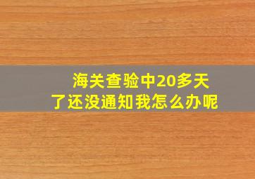 海关查验中20多天了还没通知我怎么办呢