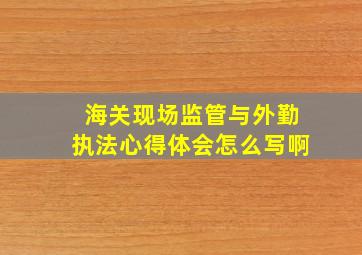 海关现场监管与外勤执法心得体会怎么写啊