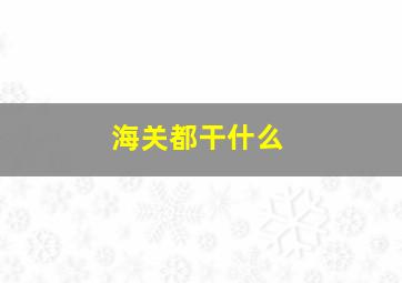 海关都干什么