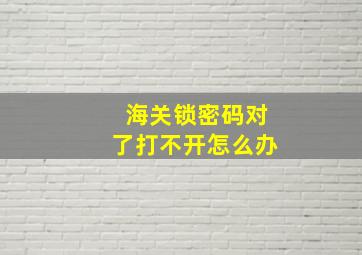 海关锁密码对了打不开怎么办