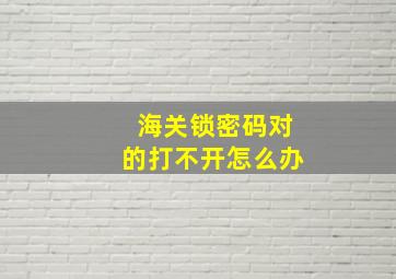 海关锁密码对的打不开怎么办