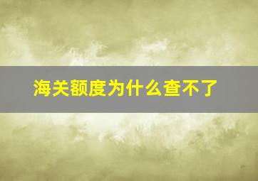 海关额度为什么查不了