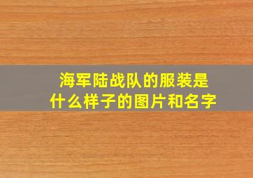 海军陆战队的服装是什么样子的图片和名字