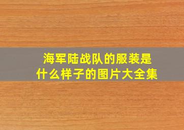 海军陆战队的服装是什么样子的图片大全集