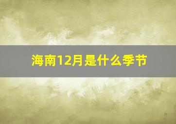 海南12月是什么季节