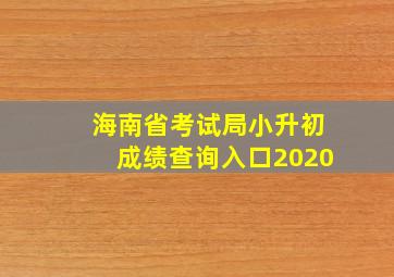 海南省考试局小升初成绩查询入口2020