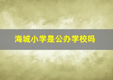 海城小学是公办学校吗