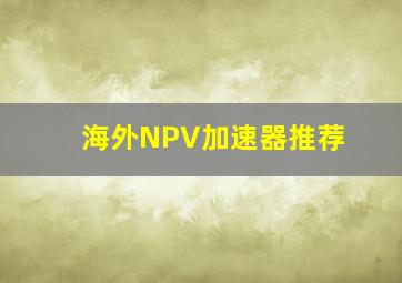 海外NPV加速器推荐