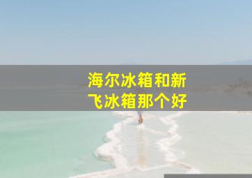 海尔冰箱和新飞冰箱那个好