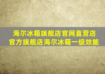 海尔冰箱旗舰店官网直营店官方旗舰店海尔冰箱一级效能