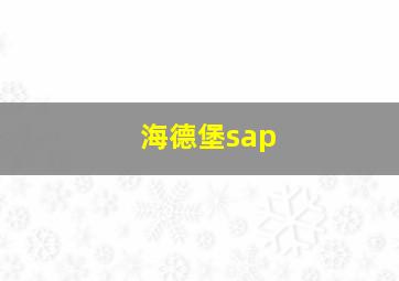 海德堡sap