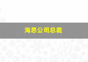 海思公司总裁