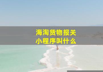 海淘货物报关小程序叫什么