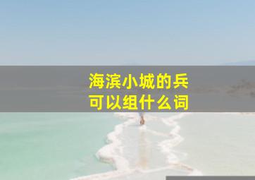 海滨小城的兵可以组什么词