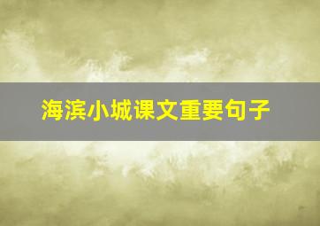 海滨小城课文重要句子