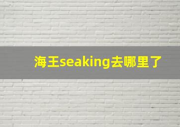 海王seaking去哪里了