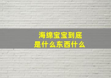 海绵宝宝到底是什么东西什么