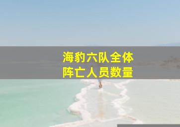 海豹六队全体阵亡人员数量