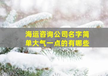 海运咨询公司名字简单大气一点的有哪些