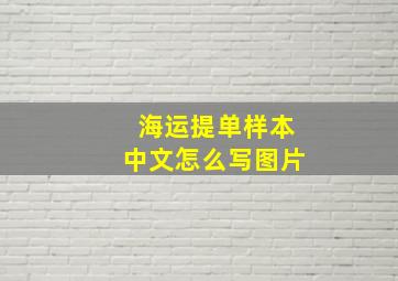 海运提单样本中文怎么写图片