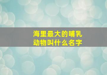 海里最大的哺乳动物叫什么名字