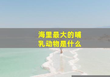 海里最大的哺乳动物是什么