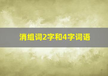 消组词2字和4字词语