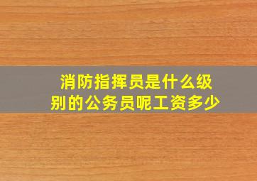 消防指挥员是什么级别的公务员呢工资多少