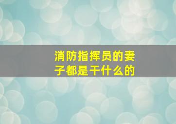 消防指挥员的妻子都是干什么的