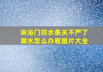 淋浴门防水条关不严了漏水怎么办呢图片大全