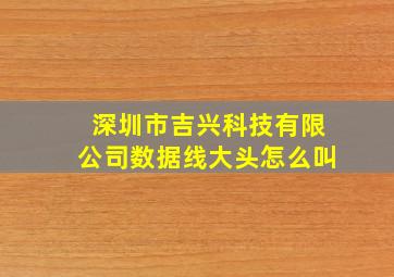 深圳市吉兴科技有限公司数据线大头怎么叫